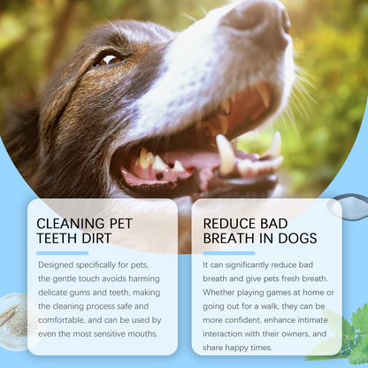 Pet Dental Care Pen